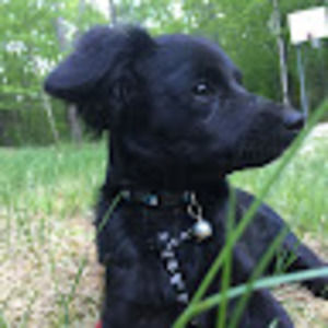 Meet your Posher, Britney